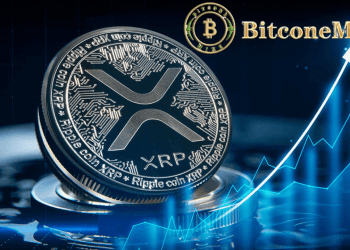 The most popular cryptocurrencies to watch in 2025: XRP, DOGE, Solana (SOL), with a daily profit of $30,500