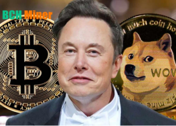 Dogecoin (DOGE) Enthusiasts Earn $85,500 a Day Using BCH Miners