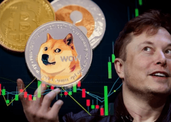How to Mine with Dogcoin (DOGE) in 2025 – Profit $60690 Per Day