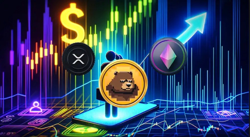 BeerBear vs ETH and XRP