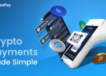 SpacePay’s 0.5% Fee is Changing the Payment Industry