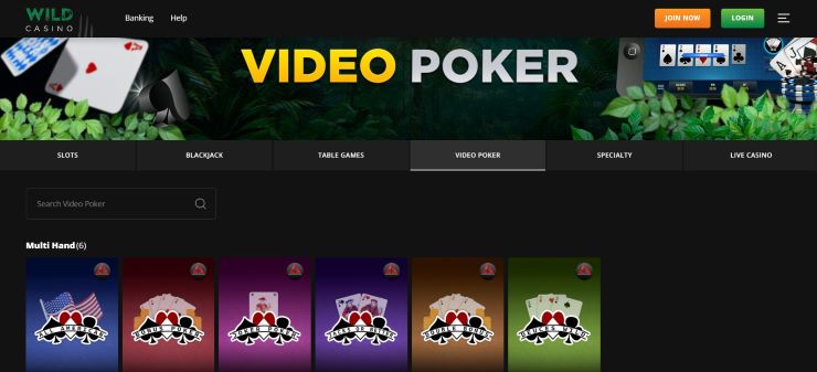 a look at video poker options at one of the best payout online casinos in the USA, Wild Casino