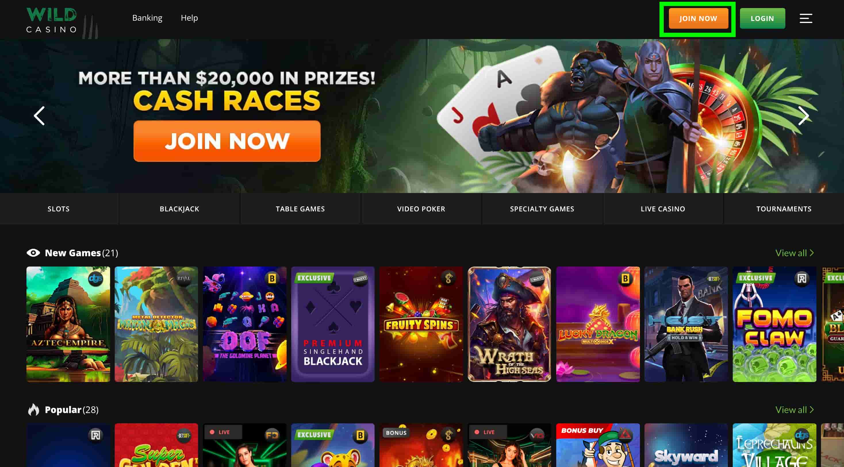 Wild Casino cash app casino