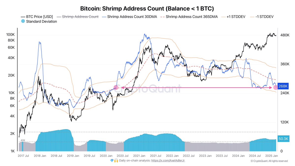 Bitcoin Retail Traders Maintain Again As Whales Drive The Market – Insights | Bitcoinist.com