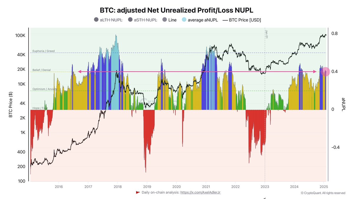 Bitcoin adjusted Net Unrealized PnL | Source: Axel Adler on X