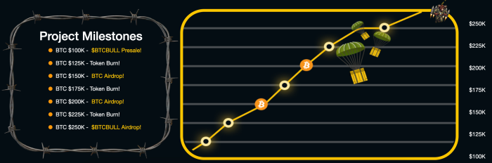 $BTCBULL roadmap