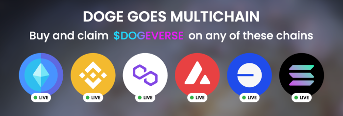 $DOGEVERSE available on multiple networks. 