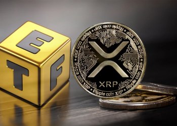 How to quickly earn $100,000 a day, the best and most stable investment platform in 2025 KSD Miner (suitable for everyone)