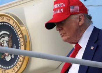 Trump apoya el 20% del dividendo DOGE para los ciudadanos.