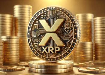 XRPのクジラが注目する仮想通貨 おすすめ3選