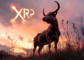 XRP-Absturz? Diese Faktoren könnten den Kurs retten
