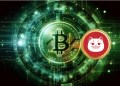 BTC at $90K—Next Stop, $100K or Another Pullback