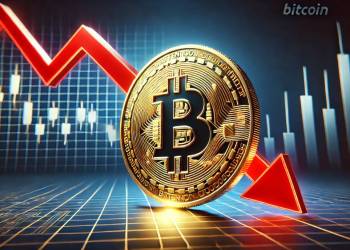 仮想通貨 おすすめ|今注目の銘柄とBitcoin下落予測