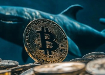 Bitcoin Whale Lakukan Pergerakan Besar Saat Momentum Bullish Kembali Menguat