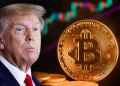 Các Chuyên Gia Tiền Điện Tử Tranh Cãi Về Dự Trữ Alt coin Của Trump