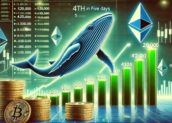 Whales Accumulate Over 420,000 Ethereum In Five Days – A Rally On The Horizon?