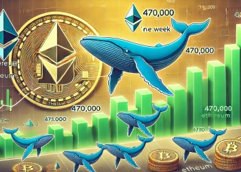 Whales Accumulate 470,000 Ethereum In One Week – Bullish Momentum Ahead?