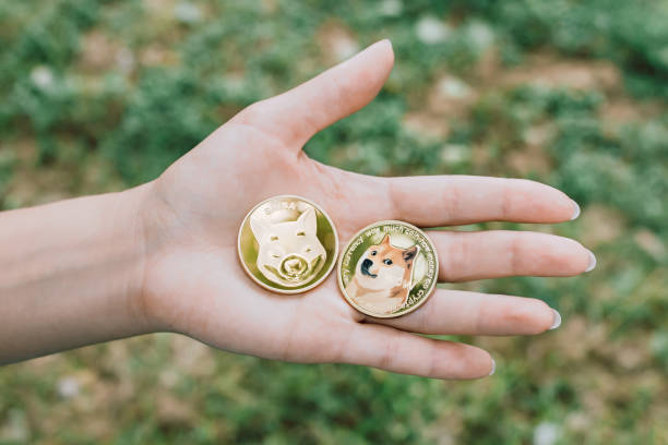 Inilah yang memicu kecelakaan harga Dogecoin dan Shiba Inu