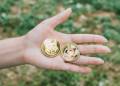 Dogecoin