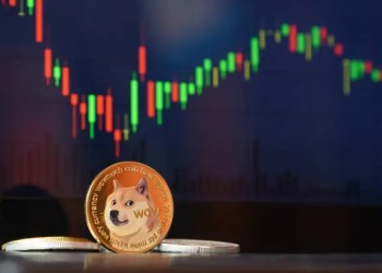 crypto whales dogecoin