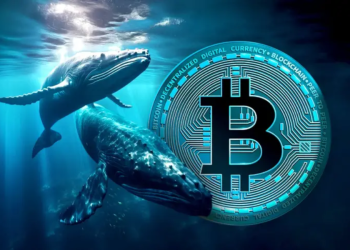 Bitcoin ziet toename in whales: kan massale aankoop nieuwe crypto rally ontketenen?