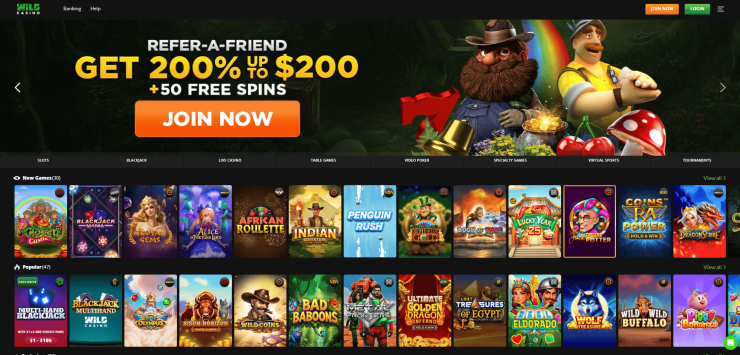 The gaming library at Wild Casino The gaming library at Wild Casino - a top alternative to Curacao online casinos
