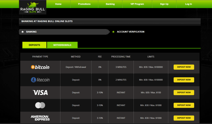 The available deposit options at Raging Bull The available deposit options at Raging Bull