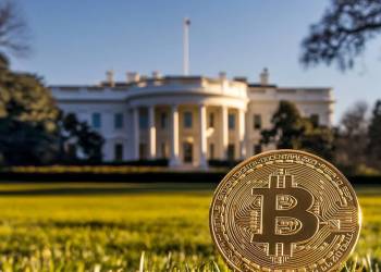 米国ビットコイン準備金発表後の仮想通貨 投資戦略とは？