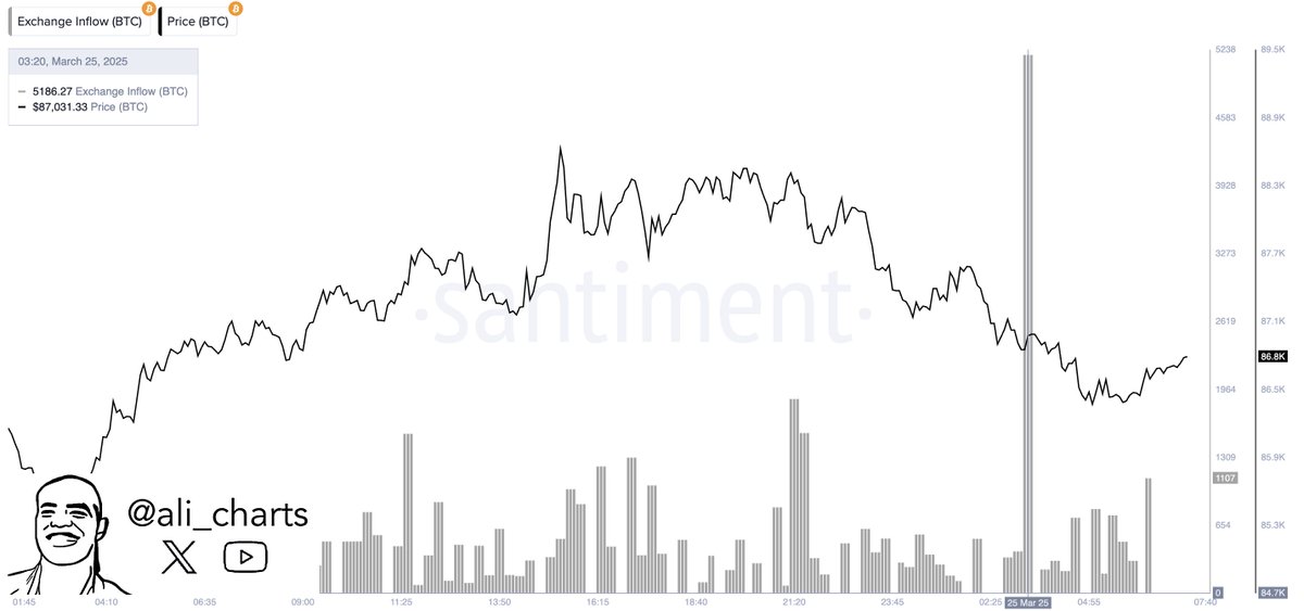 Bitcoin Exchange Inflow | Source: Ali Martinez on X