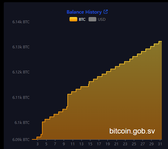 El Salvador purchases one bitcoin per day