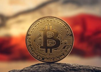Crypto expert: wanneer gaat BTC koers weer stijgen of kan Bitcoin instorten?