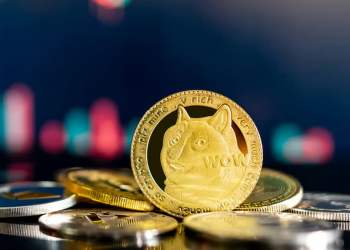 Gordon Gợi Ý Về Meme Coin Tiềm Năng Tiếp Theo Với Khả Năng Tăng 100X