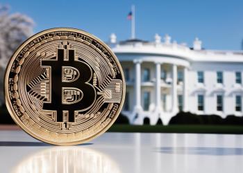 US Creates Bitcoin Reserve—What Altcoins are Worth Getting?
