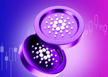 비트코인 급등세에 엘살바도르·트럼프·러시아 대거 매수…유망 밈코인 투자 열풍도 확산