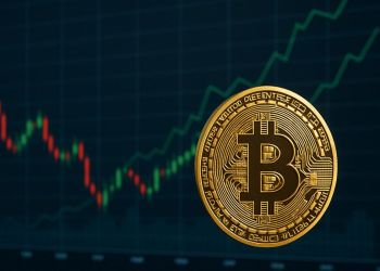 2026年に向けて注目の仮想通貨 おすすめ銘柄とは？シュワブCEOも動く