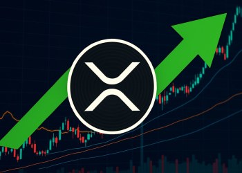 XRP先物取引がCMEで開始へ──注目の仮想通貨おすすめ銘柄