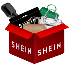 Shein Mystery Box