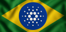 Cardano news Brazil
