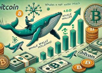 Bitcoin Whales Haven't Made Their Exit Yet – Is the Bull Cycle Still Intact?