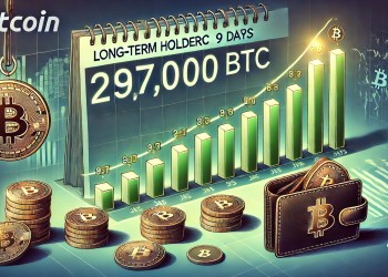 Bitcoin Long-Term Holders Accumulate 297,000 BTC In 9 Days – Bullish Signal?