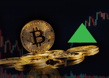 Harga Bitcoin di Level $84.000 dan $96.000 Jadi Penentu, Ini Alasannya – Waktunya Masuk BTC Bull Token?