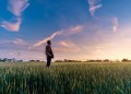 Why ESG-Compliant Crypto Is the Future of Blockchain (And Who’s Leading It)