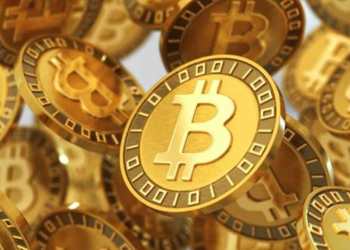 Cele trei criptomonede care ar putea exploda cu sprijinul Casei Albe