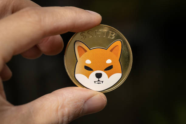 Shiba Inu