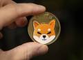 Shiba Inu