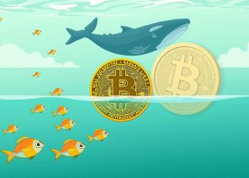 วาฬคริปโตสะสม BTC ในขณะที่นักลงทุนรายย่อยเทขาย