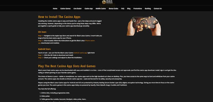 a snapshot showing black lotus's payment options