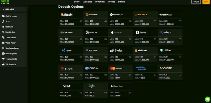 an image showing wild casino's banking options, including american express