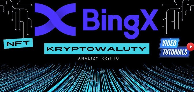 bingx PL