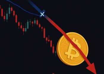 비트코인 하락세